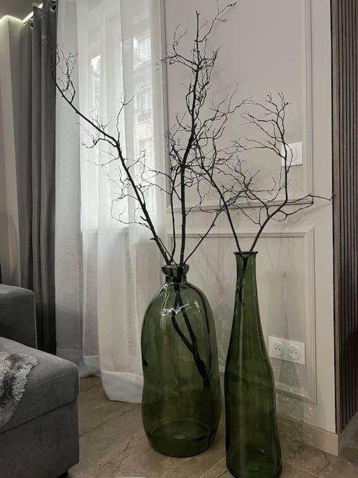 Luxueux Appartement Pres De La Cathedrale สตราสบูร์ก ภายนอก รูปภาพ